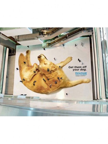 Giant Sticker Floor Graphics
